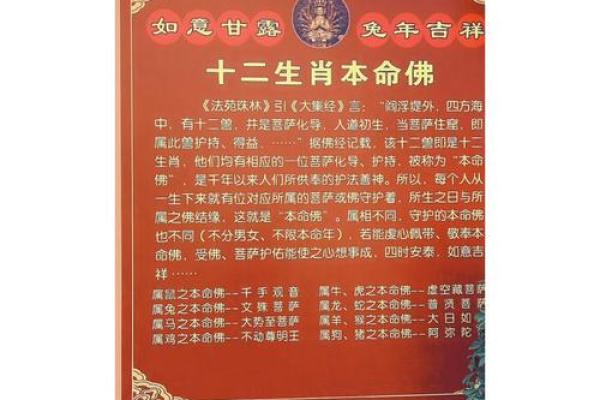 淅川县算命好的是谁