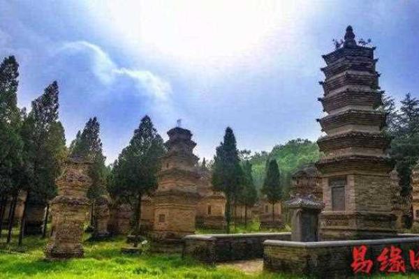 淅川县算命好的是谁