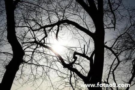 梦见算命说我身体不好