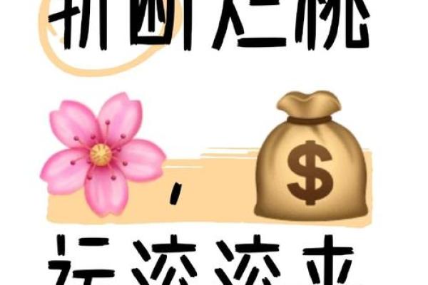 算命说今年倒插桃花