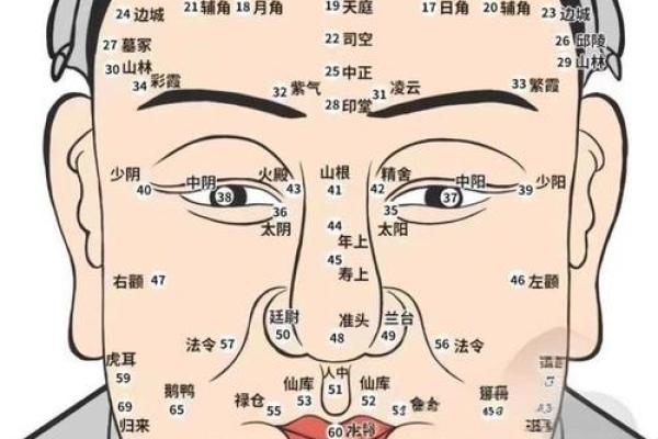 面相黑痣算命图解
