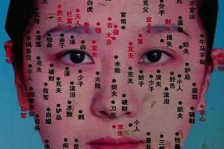 面相黑痣算命图解