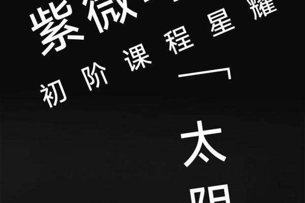 紫微斗数之夫妻宫与诸星，太阴星在夫妻宫是什么意思？