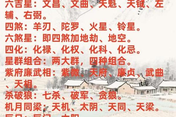 电脑紫薇斗数软件