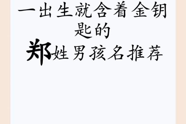 郑姓男孩名字大全-郑姓男孩起名字大全-郑姓名字大全姓名