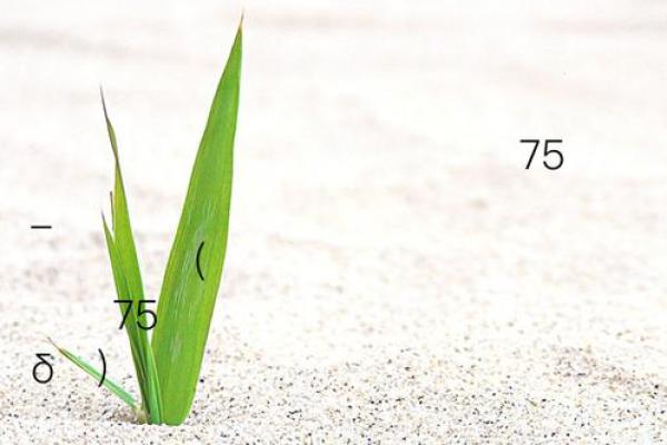 泉州关帝灵签32 泉州关帝灵签32