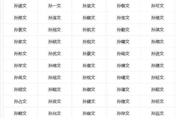 孙姓男孩名字大全-孙姓男孩起名字大全-孙姓名字大全姓名