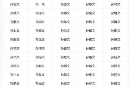 孙姓男孩名字大全-孙姓男孩起名字大全-孙姓名字大全姓名