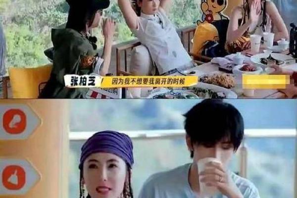 张柏芝谢霆锋算命 张柏芝谢霆锋算命