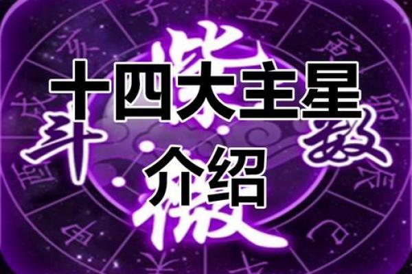 紫薇斗数申子辰 紫薇斗数申子辰