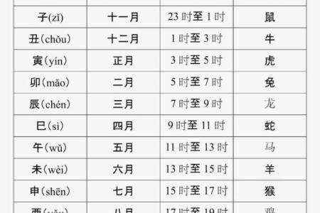 八字申子辰见酉