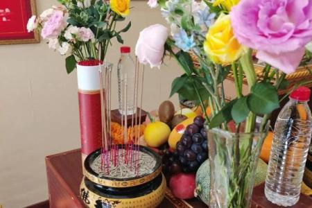 传统风水10种招鬼的花千万不能摆放在家里