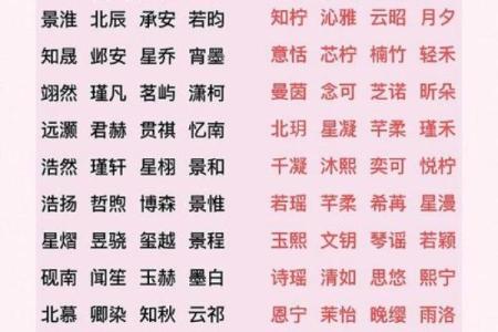 2019年3月23号未时出生的男孩如何起名姓名