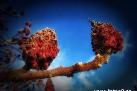 开车摔跤了还能去算命吗