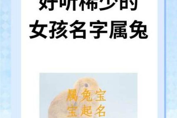 4月份出生的属兔女孩起什么名字最好姓名