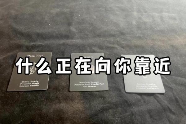 塔罗测试：你在吸引什么向你靠近？