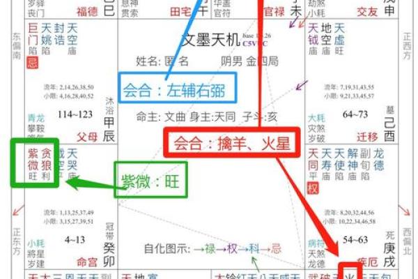 紫微斗数之各星曜所主行业:搞外销的看法 紫微斗数之各星曜所主行业:搞外销的看法