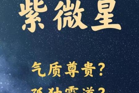 命带紫薇星是什么