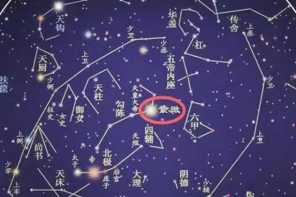 紫薇星君圣诞日 紫薇星君圣诞日