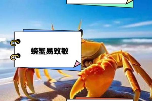 螃蟹地风水形了解这种风水形带来的影响及解决方法 螃蟹地风水形了解这种风水形带来的影响及解决方法