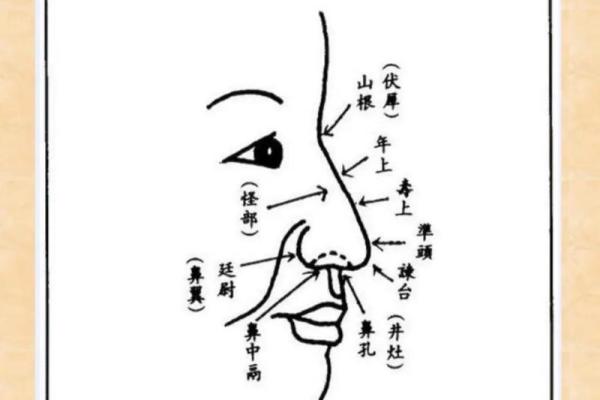 面相风水鹰钩鼻子的女人有福气吗