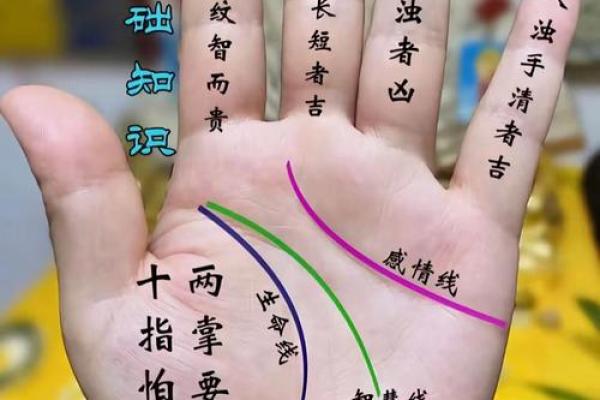 男人断掌手纹算命图解
