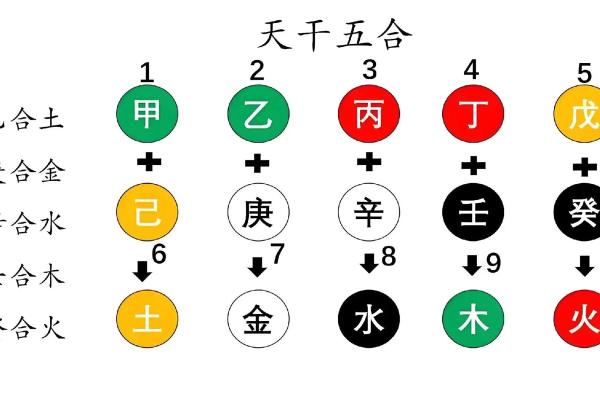 八字巳酉合