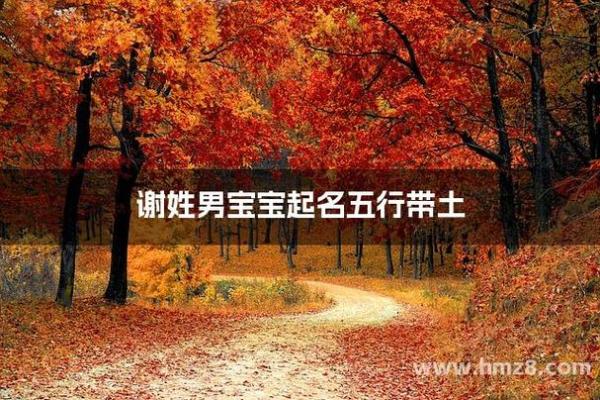 谢姓男孩名字大全-谢姓男孩起名字大全-谢姓名字大全姓名