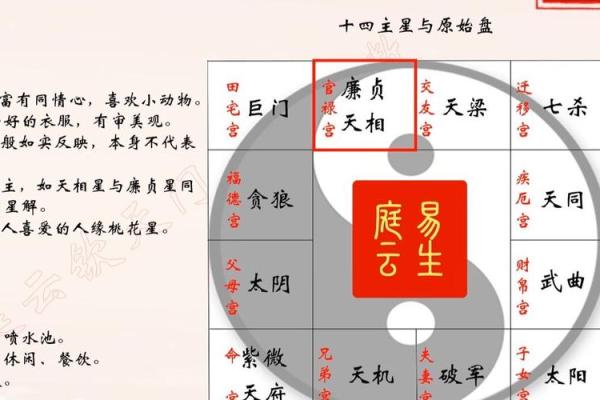 天府星和紫微斗数的联系