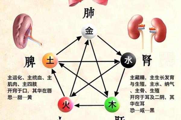 八字测命五行 八字测命五行