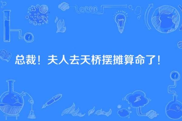 夫人又去摆摊算命