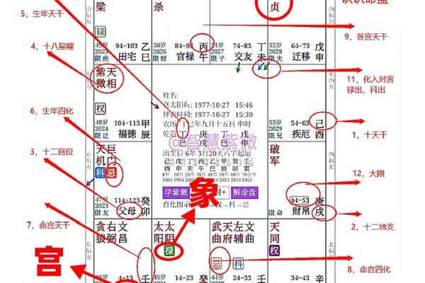 如何自学紫薇斗数