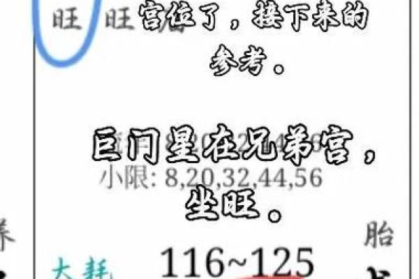 紫薇斗数的巨门 紫薇斗数的巨门