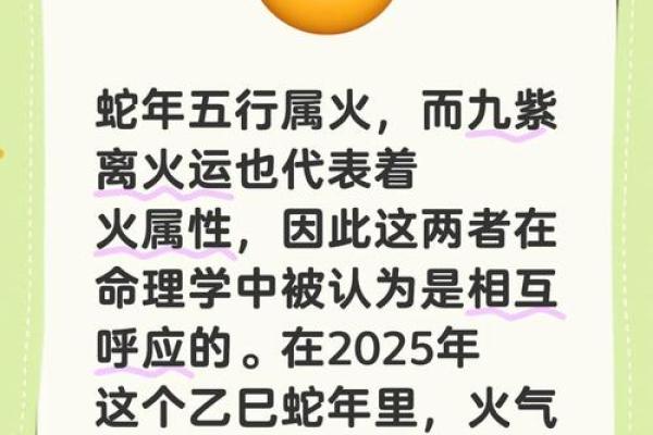 办公室属蛇风水应该如何布局 生肖蛇人赶紧看过来 办公室属蛇风水应该如何布局 生肖蛇人赶紧看过来