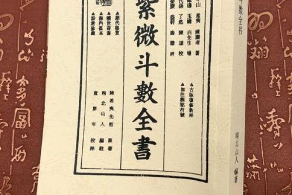 紫薇斗数原版白话书