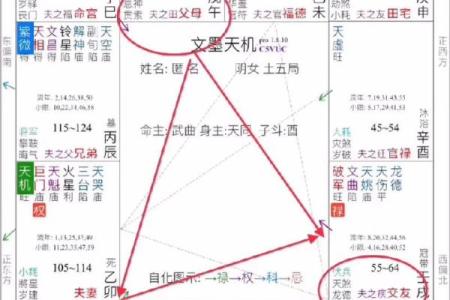 紫薇斗数中最准确的解释