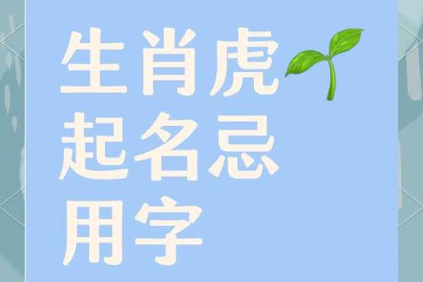 名字测试虎年吉凶打分