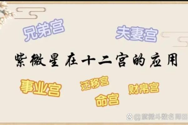 紫薇斗数命宫有哪些 紫薇斗数命宫有哪些