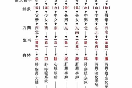 八卦图算命预测！易学命理方法