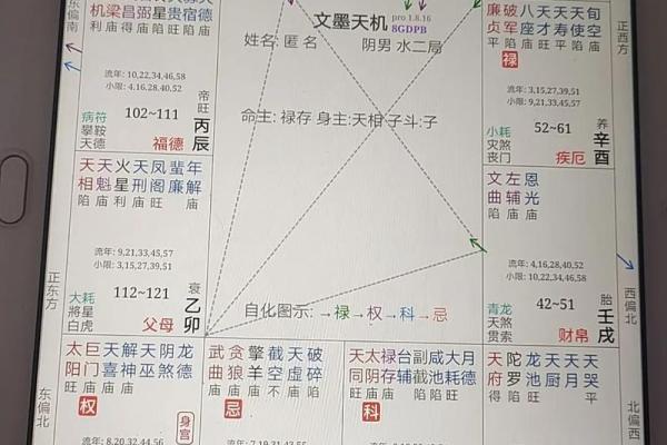 注定紫薇斗数吧