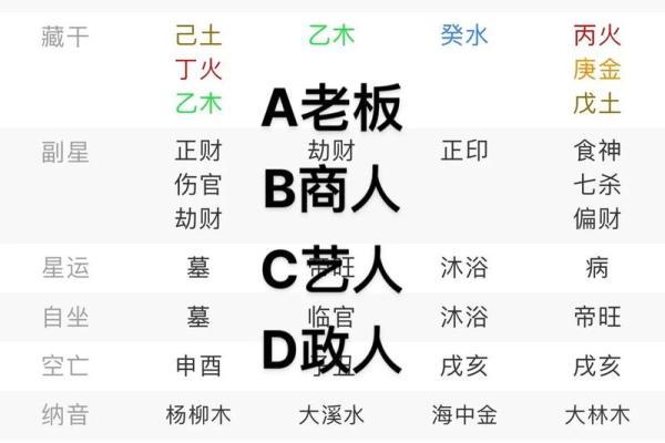 八字排盘算命软件下载