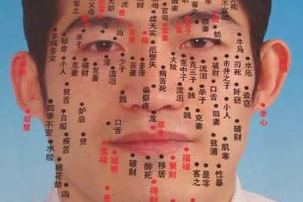 胎记算命图解好坏