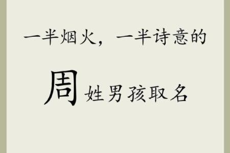 2019年4月15号子时出生的男孩如何起名姓名