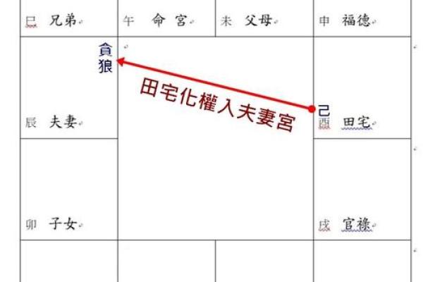 唐艺尹老师紫薇斗数算田宅宫：廉贞星坐守十二宫位置分析田产运