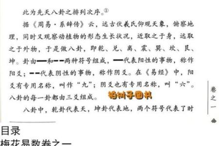 用梅花易数怎么算命