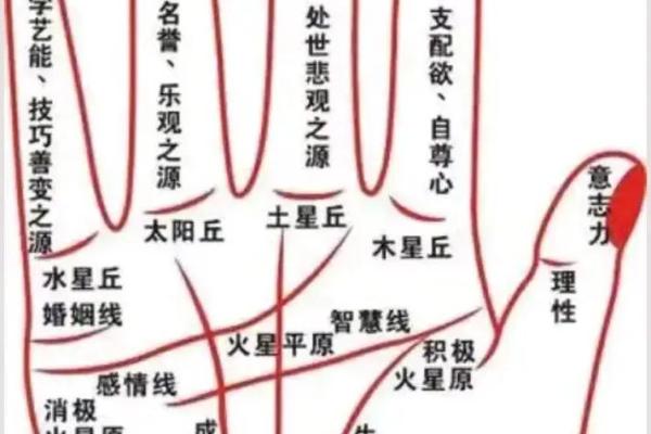 手相图解大全女 右手 算命 手掌红润柔软