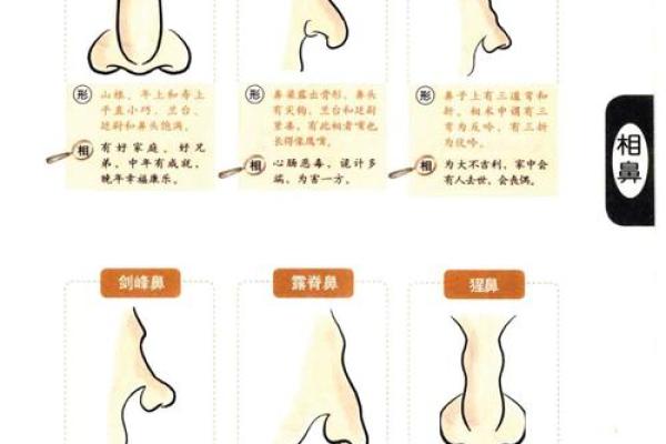 鼻子八字型特征及处理技巧！