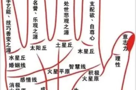 手相图解大全女 右手 算命 手掌红润柔软
