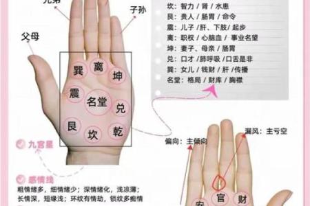 图解：手相金星环算命