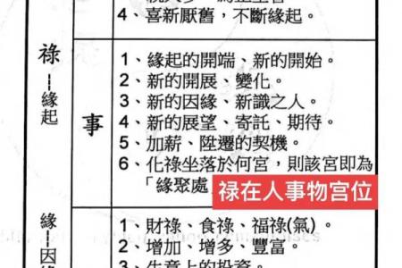 紫薇斗数化忌详解